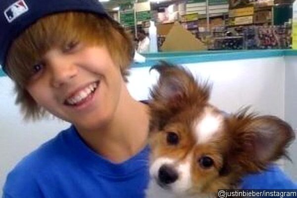 Justin Bieber Mourns Death of His Dog Sammy