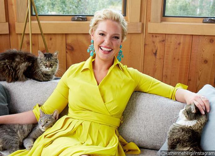 Katherine Heigl Shares Topless Pregnancy Photo as She Recalls Son's Difficult Delivery