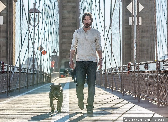 Keanu Reeves Walks Down Brooklyn Bridge With His New Dog in New 'John Wick 2' Pic