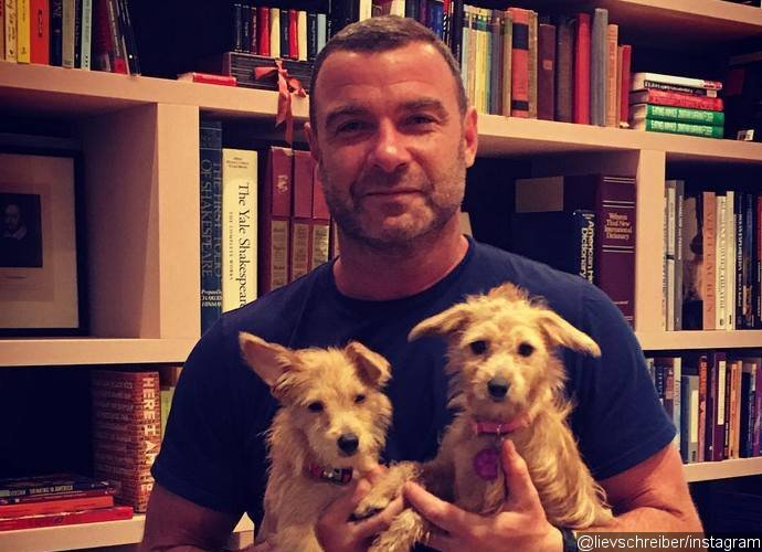 Liev Schreiber Adopts Orphan Puppies From Texas After Hurricane Harvey