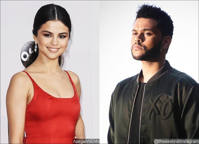 Selena Gomez and The Weeknd Have PDA-Filled Dinner Date in L.A.