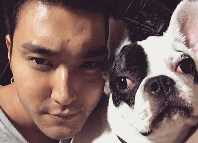 Super Junior's Siwon Apologizes After His Dog Bit and Caused the Death of a Neighbor