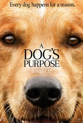 A Dog's Purpose (2017) Profile Photo