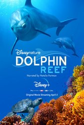 Dolphin Reef (2020) Profile Photo