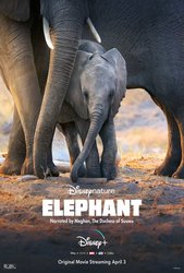 Elephant  (2020) Profile Photo