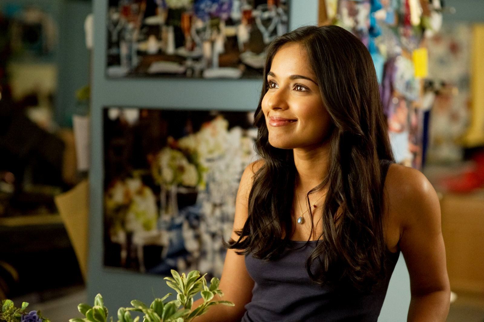 Dilshad Vadsaria stars as Kate in Columbia Pictures' 30 Minutes or Less (2011). Photo by: Wilson Webb.