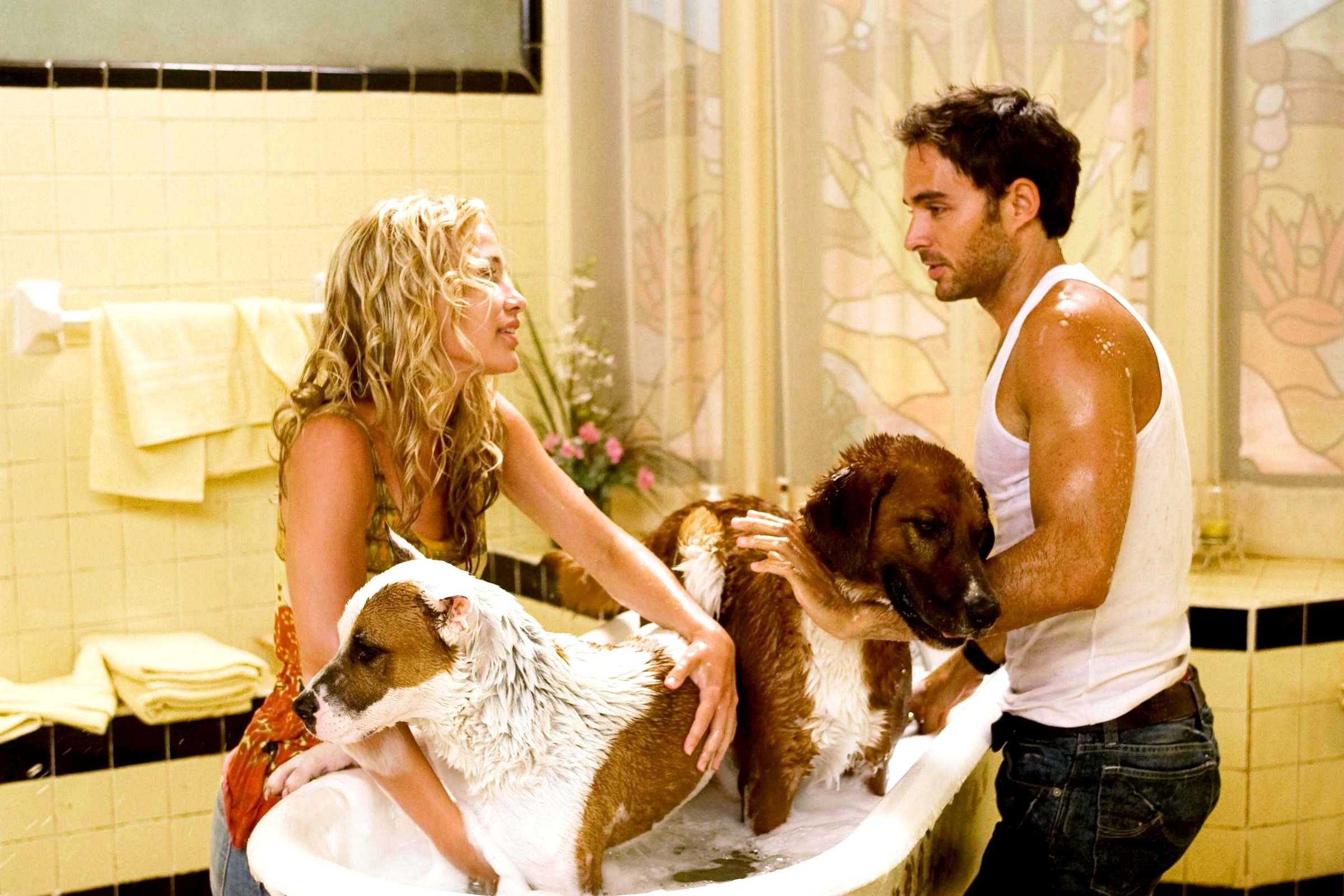 Piper Perabo and Manolo Cardona (Sam) in Walt Disney Pictures' Beverly Hills Chihuahua (2008). Photo credit by Daniel Daza.