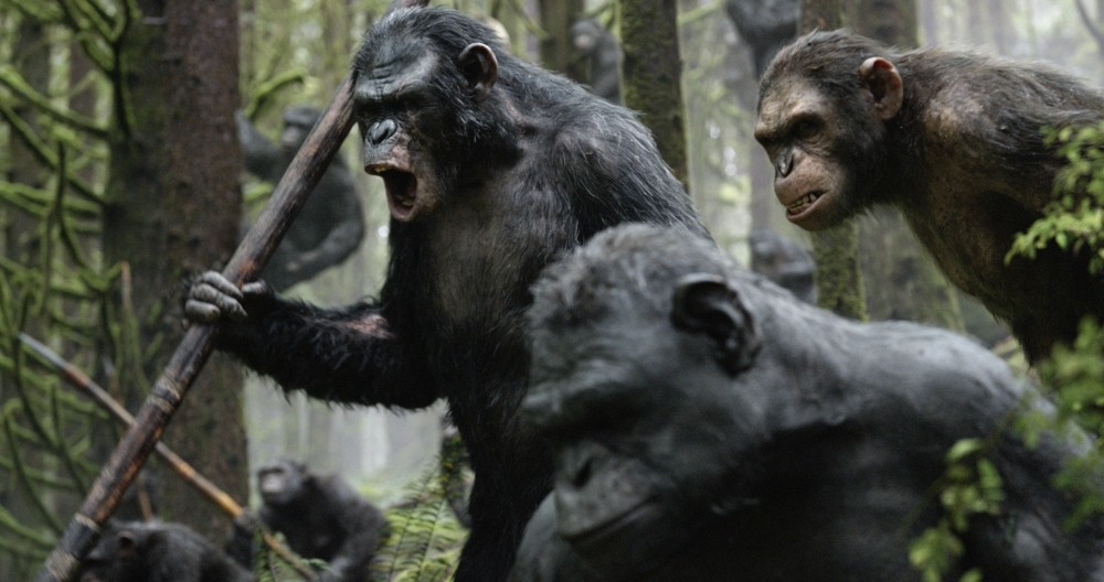 Koba from 20th Century Fox' Dawn of the Planet of the Apes (2014)