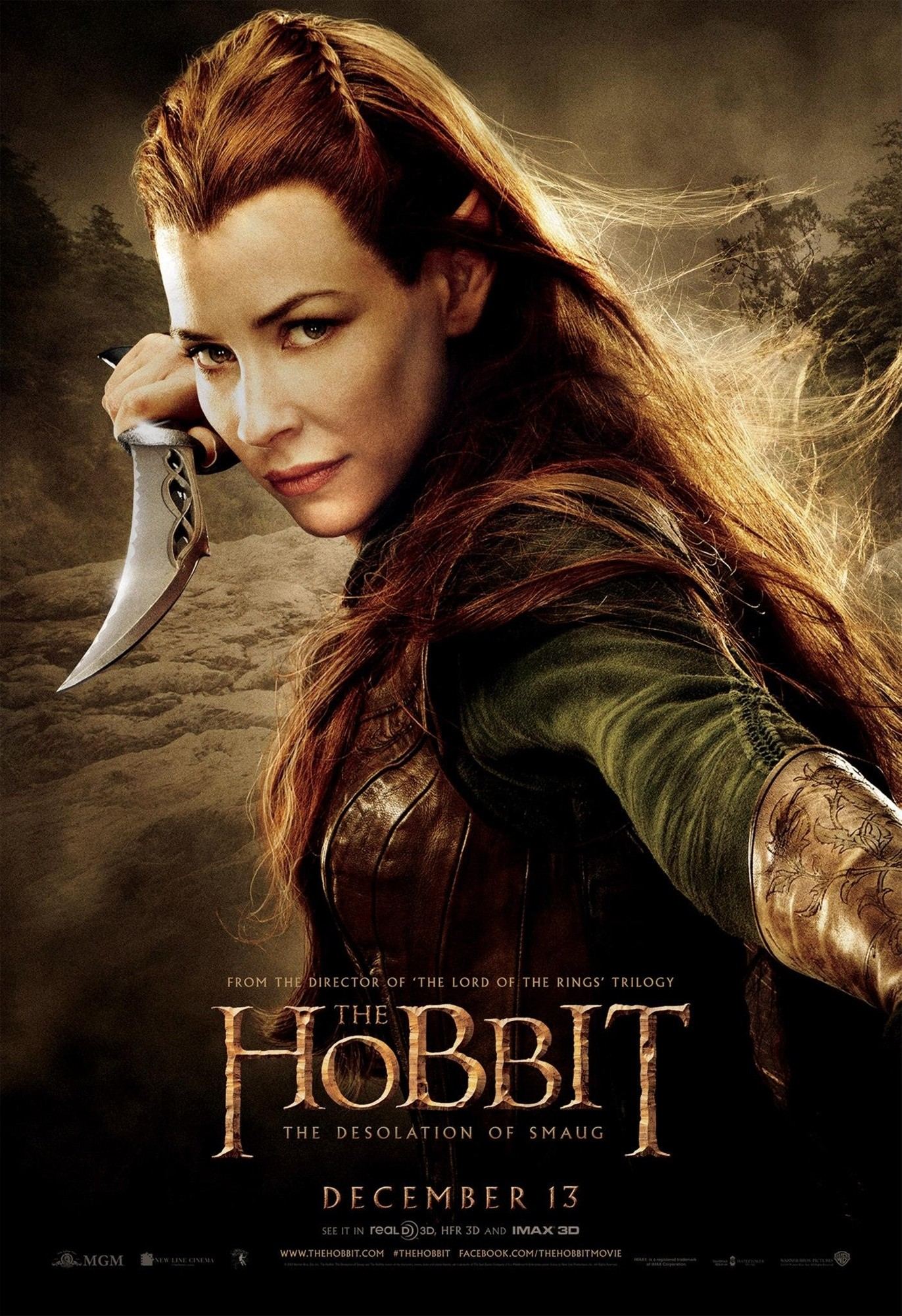 Poster of Warner Bros. Pictures' The Hobbit: The Desolation of Smaug (2013)