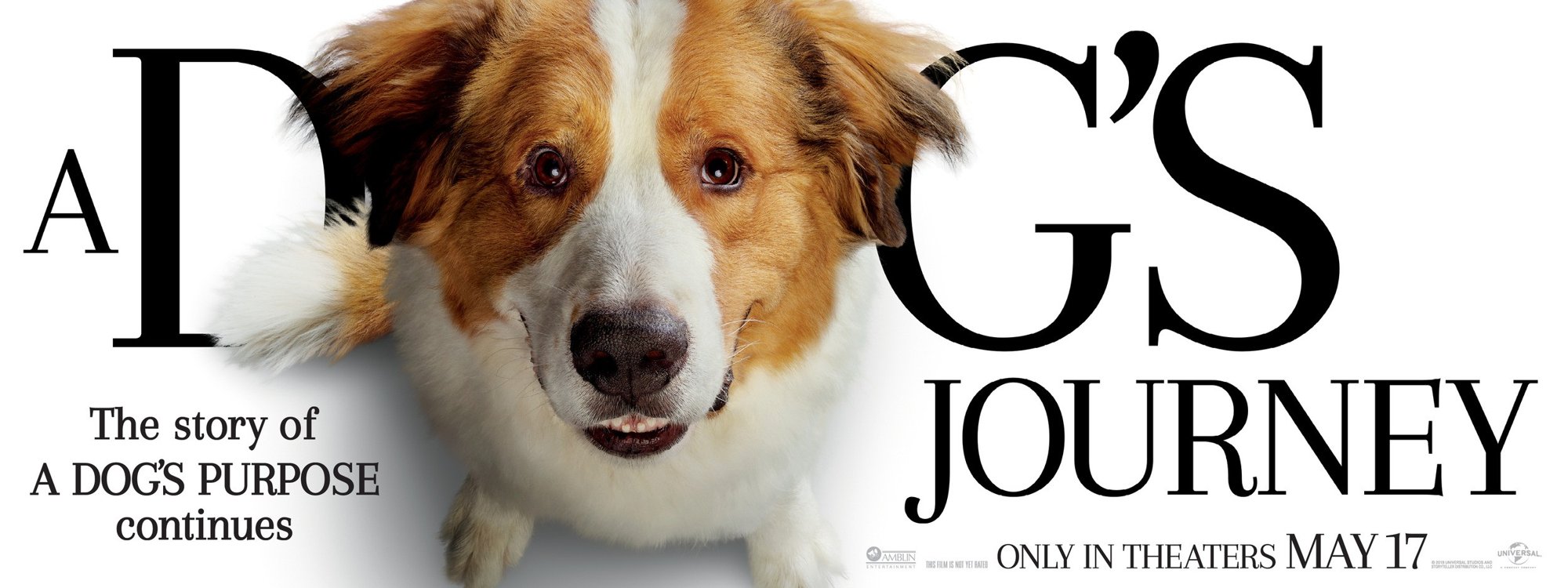 A Dog's Journey (2019) Pictures, Photo, Image and Movie Stills