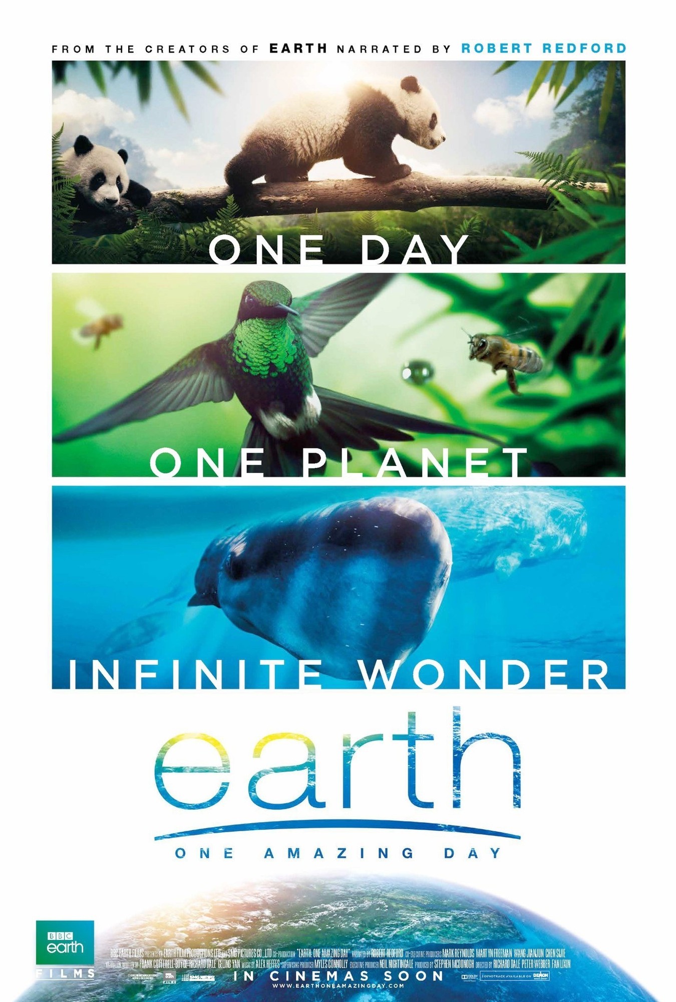Poster of BBC Films' Earth: One Amazing Day (2017)