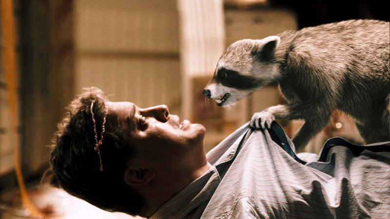 Brendan Fraser stars as Dan Sanders in Summit Entertainment's Furry Vengeance (2010)