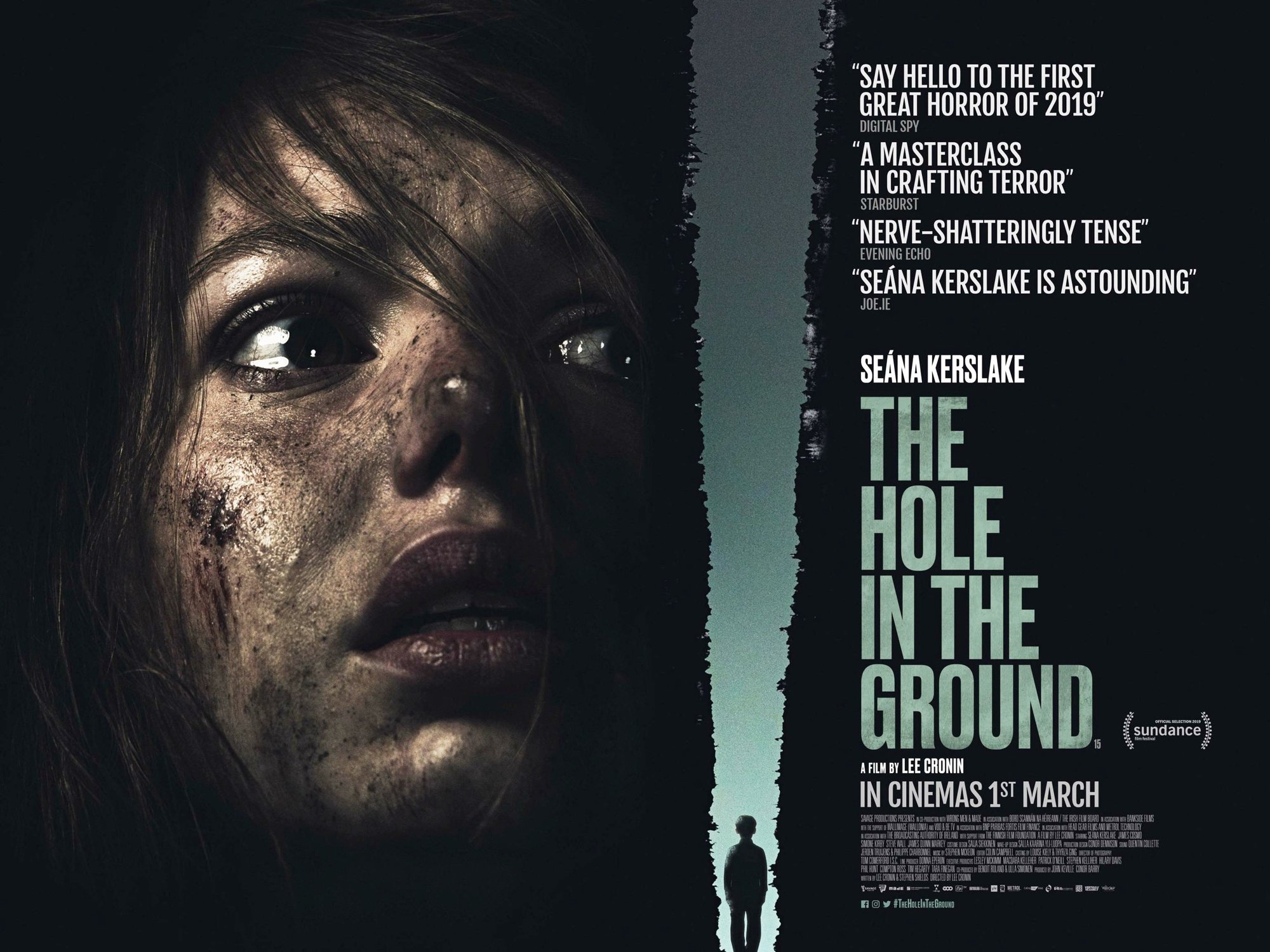Poster of A24's The Hole in the Ground (2019)
