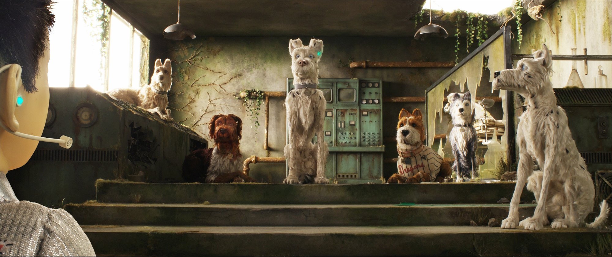 Rex, King, Boss and Duke from Fox Searchlight Pictures' Isle of Dogs (2018)