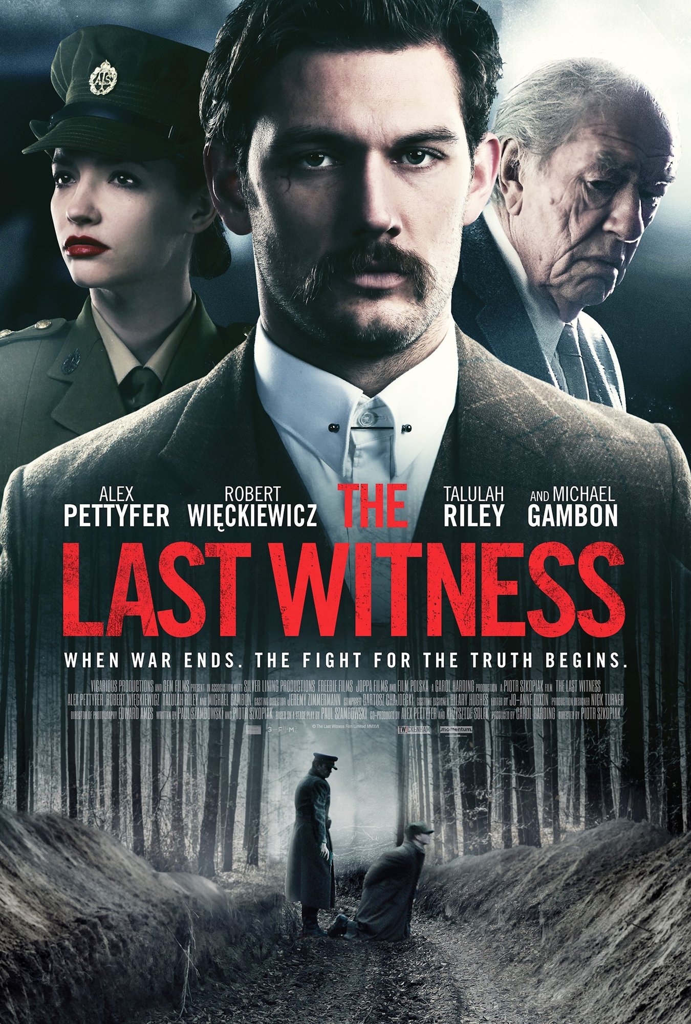 Poster of Momentum Pictures' The Last Witness (2018)
