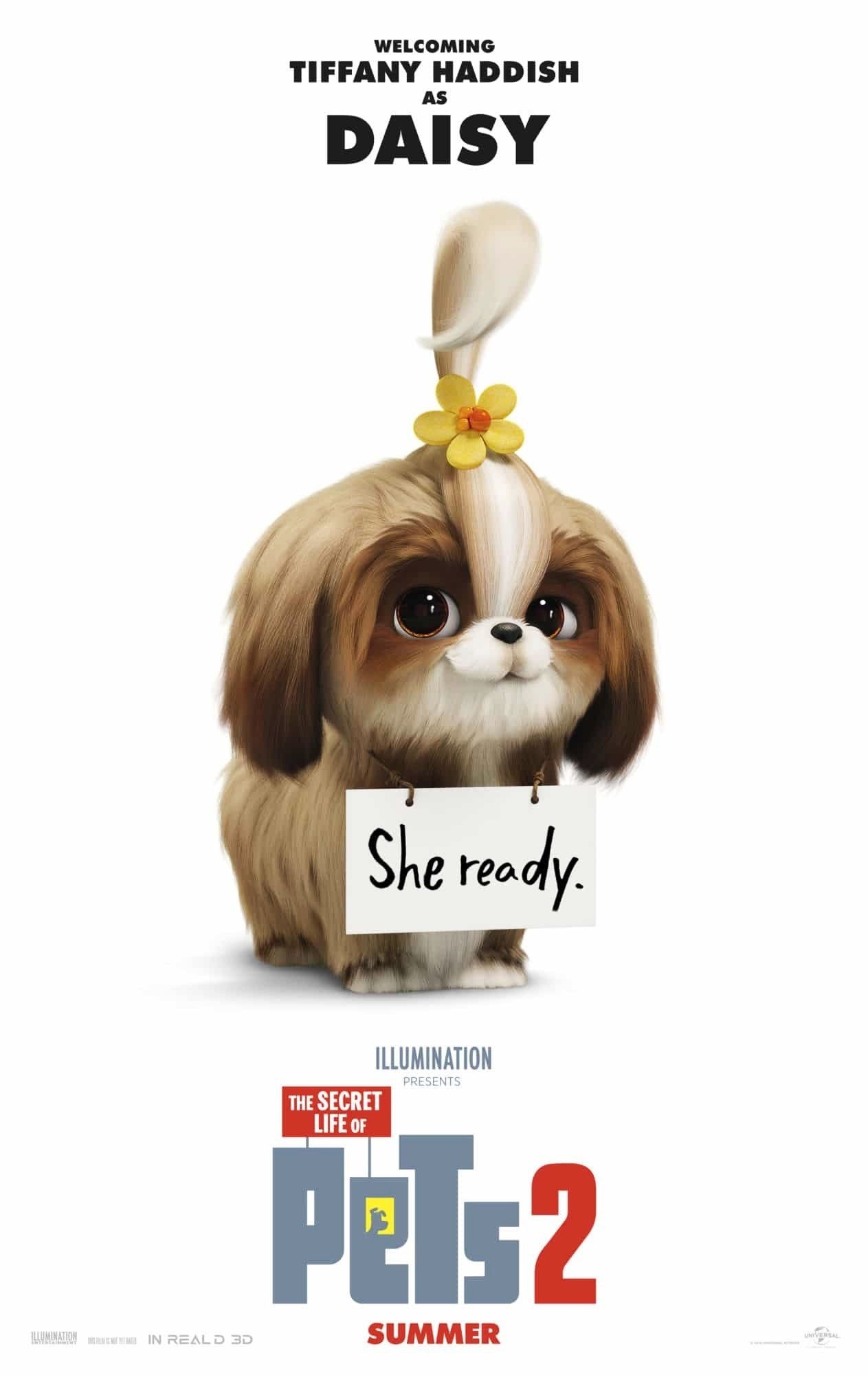 Poster of Universal Pictures' The Secret Life of Pets 2 (2019)