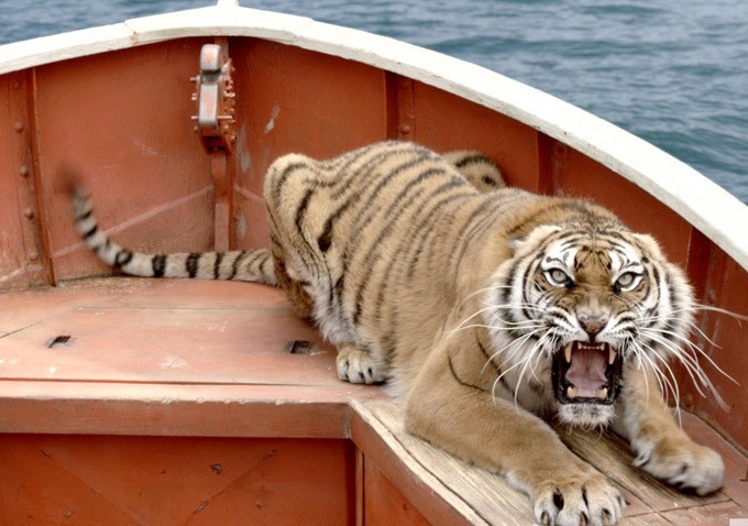 Richard Parker the Tiger from The 20th Century Fox's Life of Pi (2012)