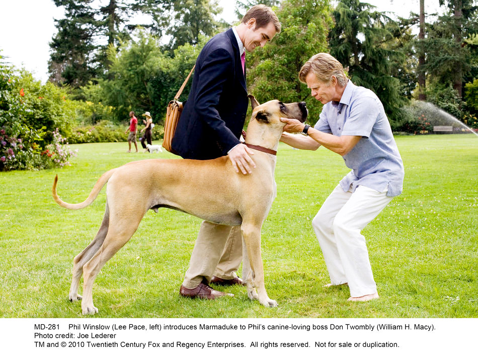 Lee Pace stars as Phil Winslow and William H. Macy stars as Don Twombly in 20th Century Fox's Marmaduke (2010)