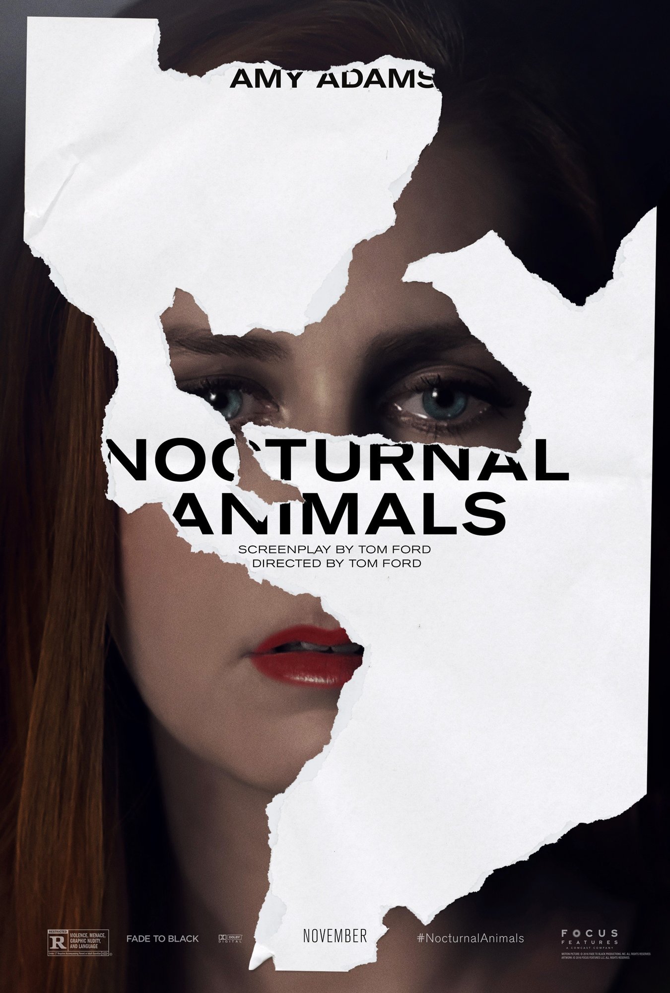 Poster of Focus Features' Nocturnal Animals (2016)