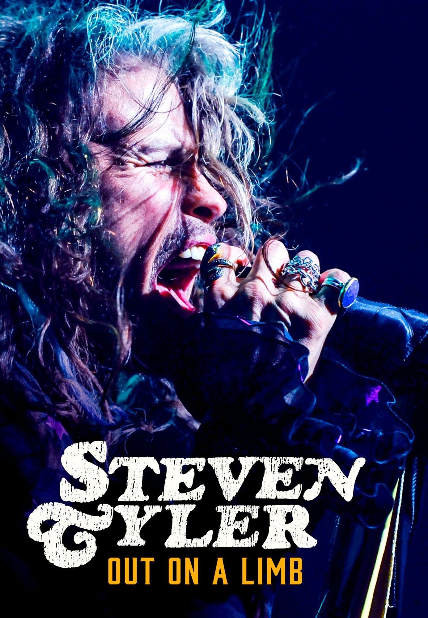 Poster of Momentum Pictures' Steven Tyler: Out on a Limb (2018)