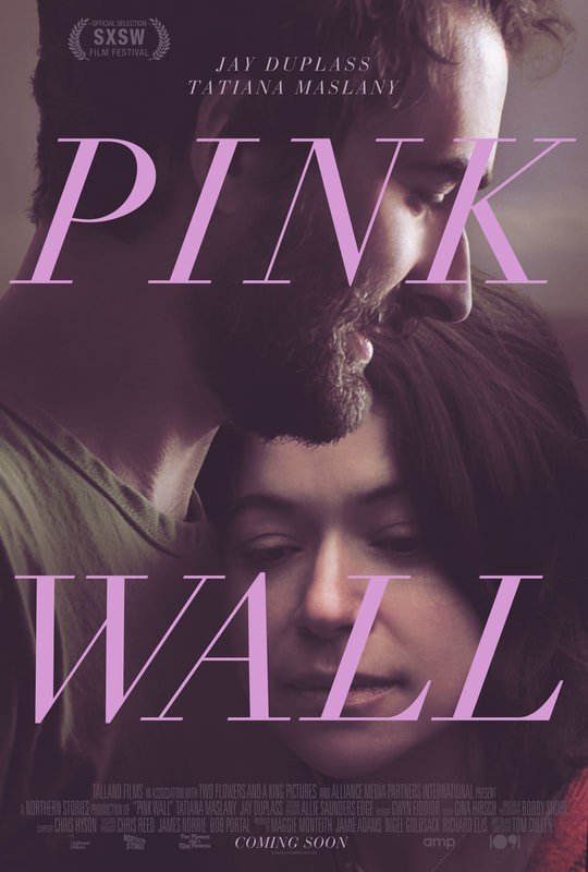 Poster of Dignity Film's Pink Wall (2019)