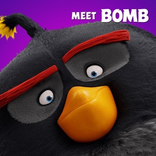 Angry Birds Picture 9