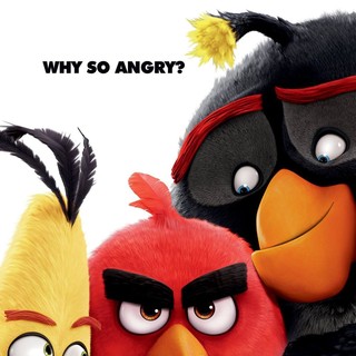 Angry Birds Picture 14