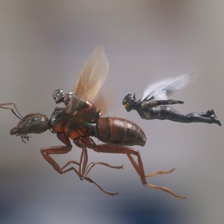 Ant-Man and The Wasp from Walt Disney Pictures' Ant-Man and the Wasp (2018)