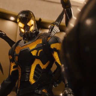 Ant-Man Picture 18