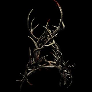 Antlers Picture 1