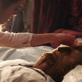 Beauty and the Beast Picture 26