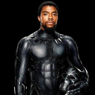 Black Panther Picture 13