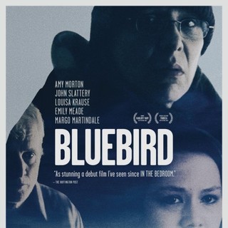 Poster of Factory 25's Bluebird (2015)