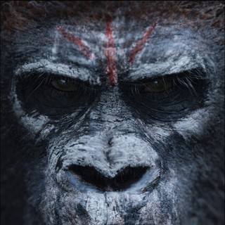 Dawn of the Planet of the Apes Picture 3