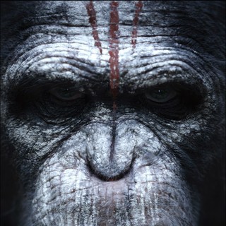 Dawn of the Planet of the Apes Picture 5