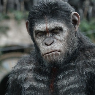 Dawn of the Planet of the Apes Picture 7