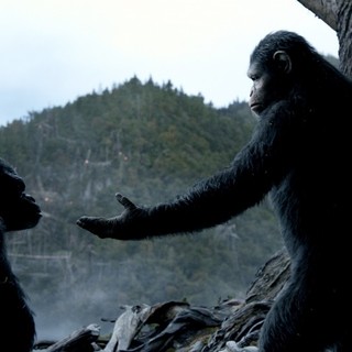 Caesar and Koba from 20th Century Fox' Dawn of the Planet of the Apes (2014)