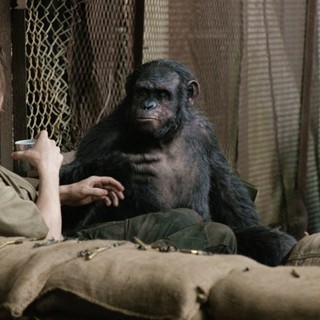 Dawn of the Planet of the Apes Picture 13