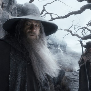 The Hobbit: The Desolation of Smaug Picture 45