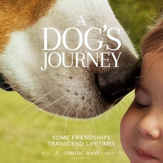 Poster of Universal Pictures' A Dog's Journey (2019)