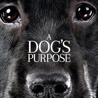 A Dog's Purpose Picture 3