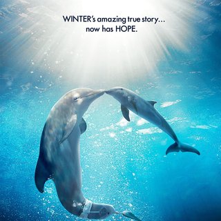 Dolphin Tale 2 Picture 5