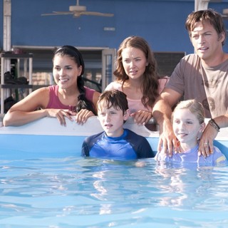 Dolphin Tale Picture 24