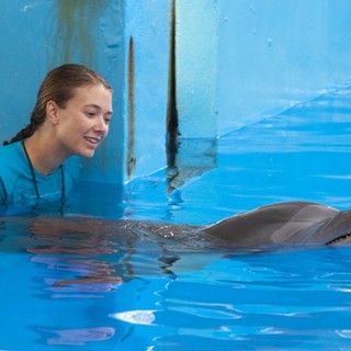 Dolphin Tale Picture 27