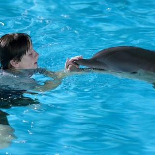 Dolphin Tale Picture 28