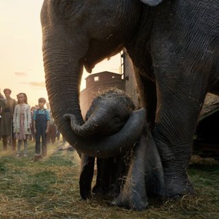 Dumbo Picture 26