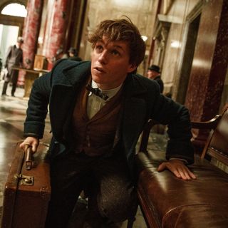 Fantastic Beasts and Where to Find Them Picture 2