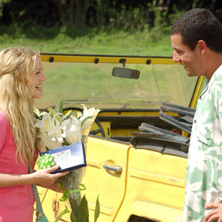 50 First Dates Picture 6