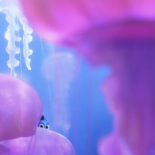 Finding Dory Picture 4