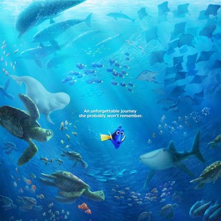Finding Dory Picture 7